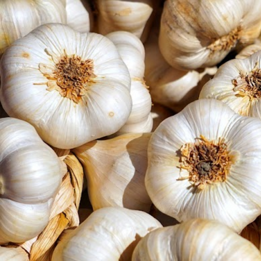 Garlic - Organic