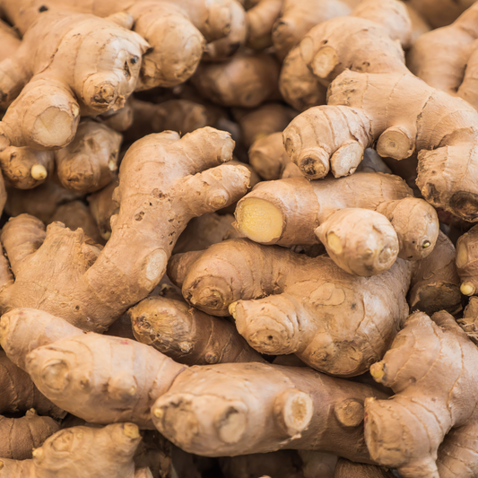 Ginger - Organic